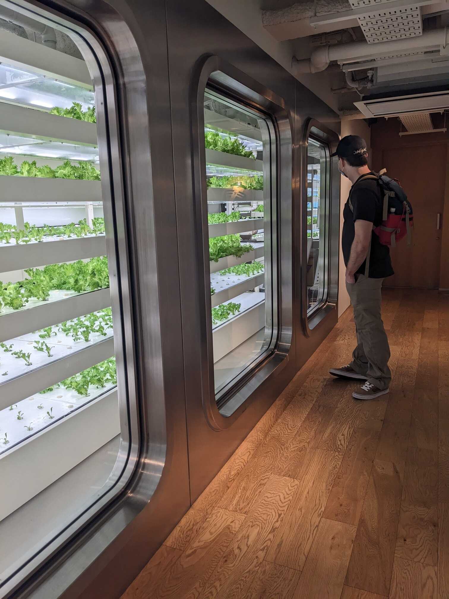 Hydroponic garden