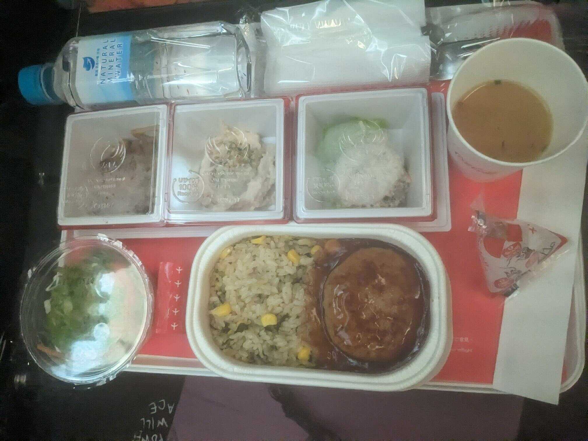 JAL meal on the way home