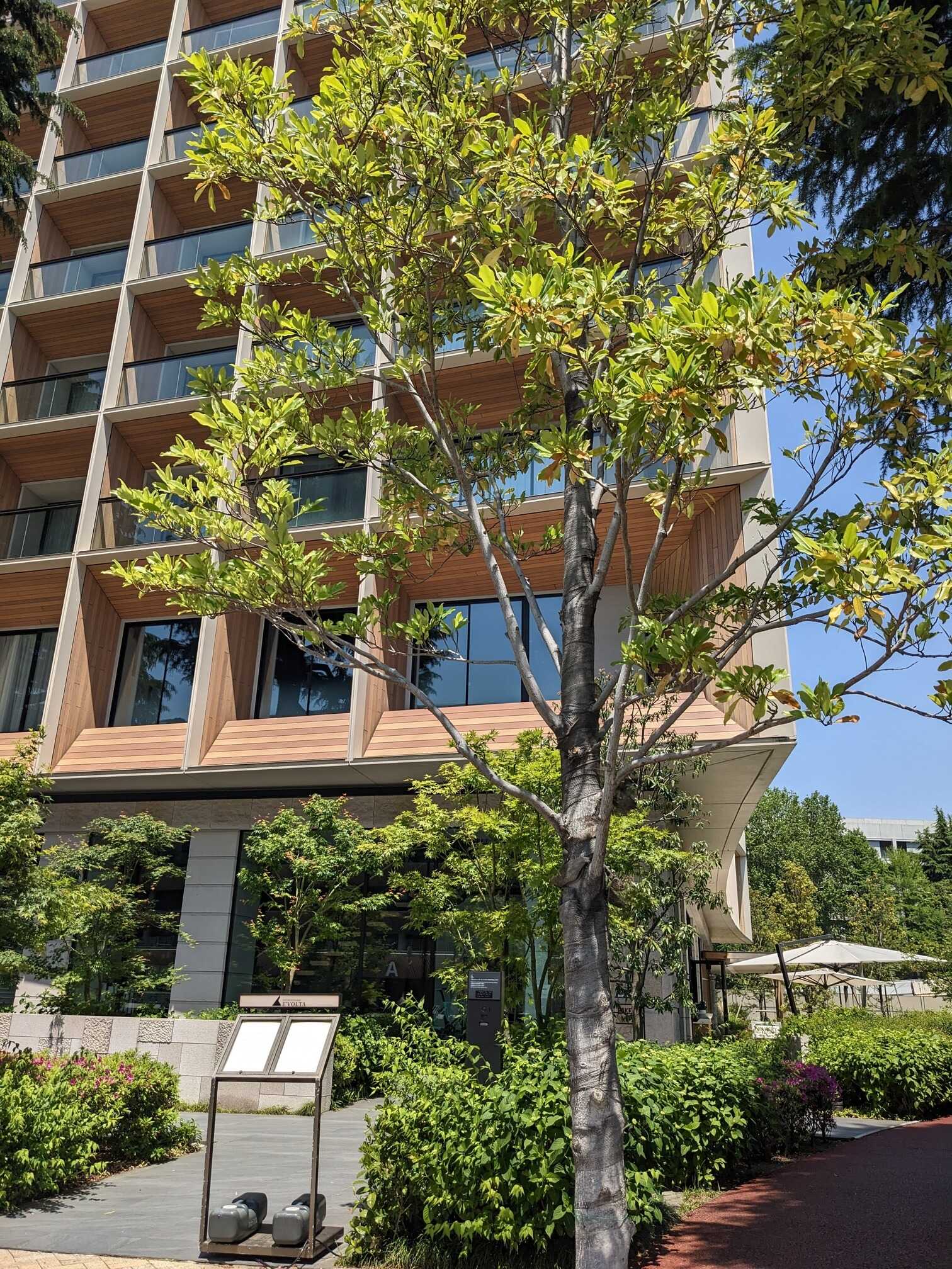 Cool Mitsui Architecture