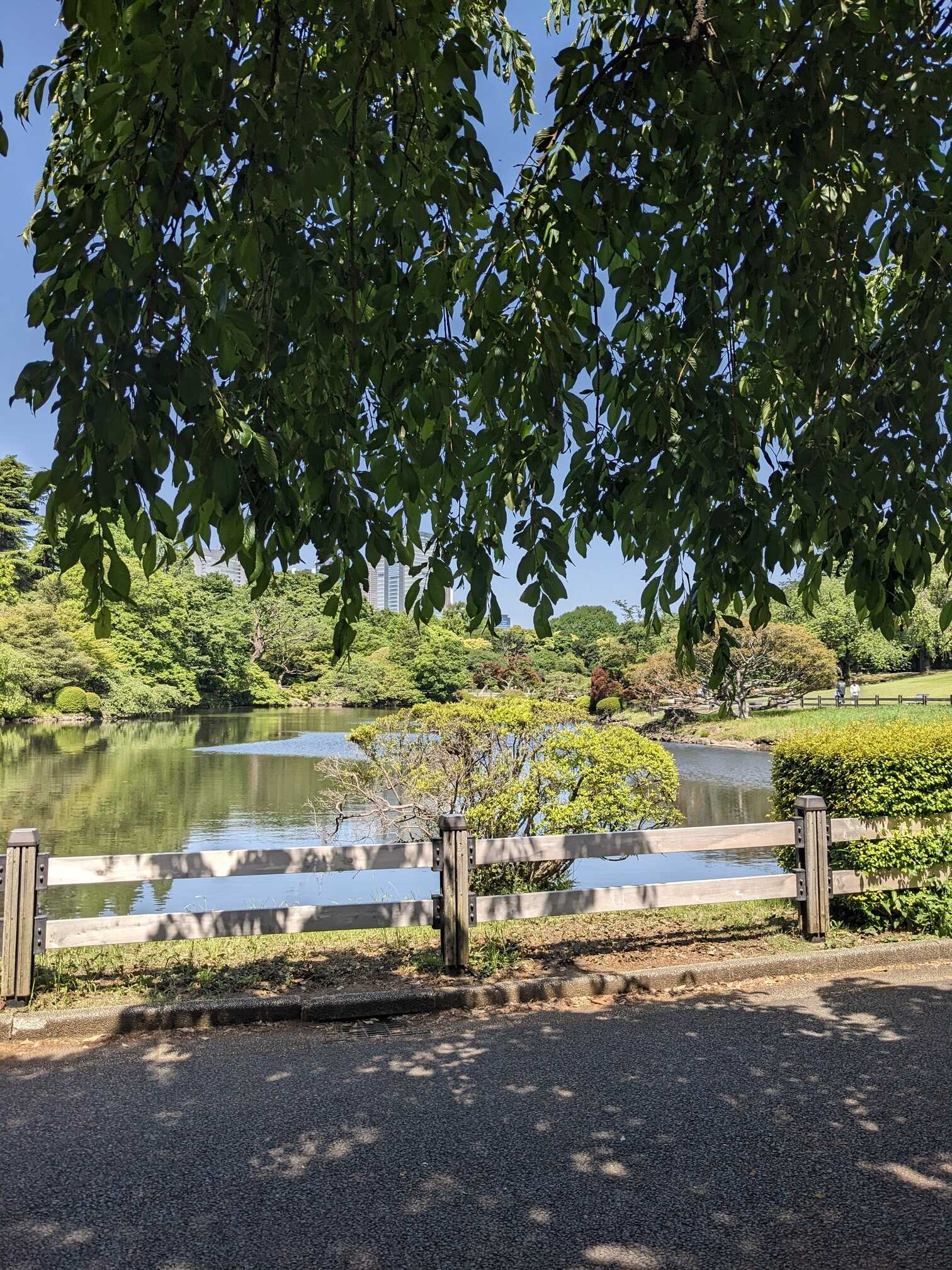 Shinjuku Gyoen National Garden